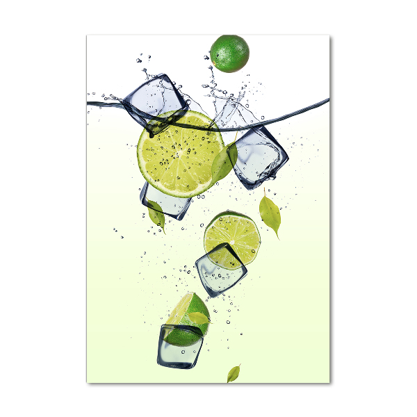 Tablou acrilic Limes și gheață