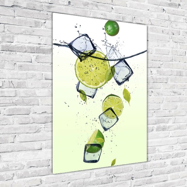Tablou acrilic Limes și gheață