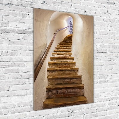 Tablou acrilic Scari in castel