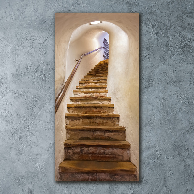 Tablou acrilic Scari in castel