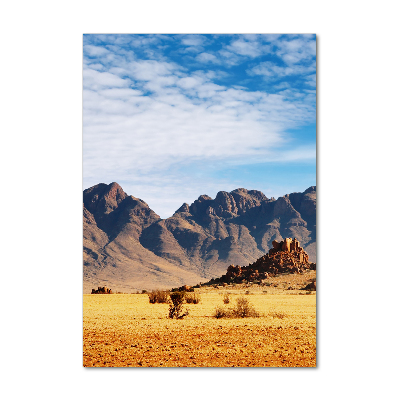 Tablou pe acril Desert Namibia