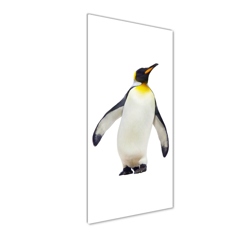 Pictura pe sticlă acrilică Pinguin