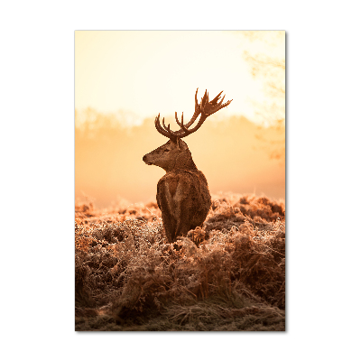 Tablou pe sticlă acrilică Sunrise Deer