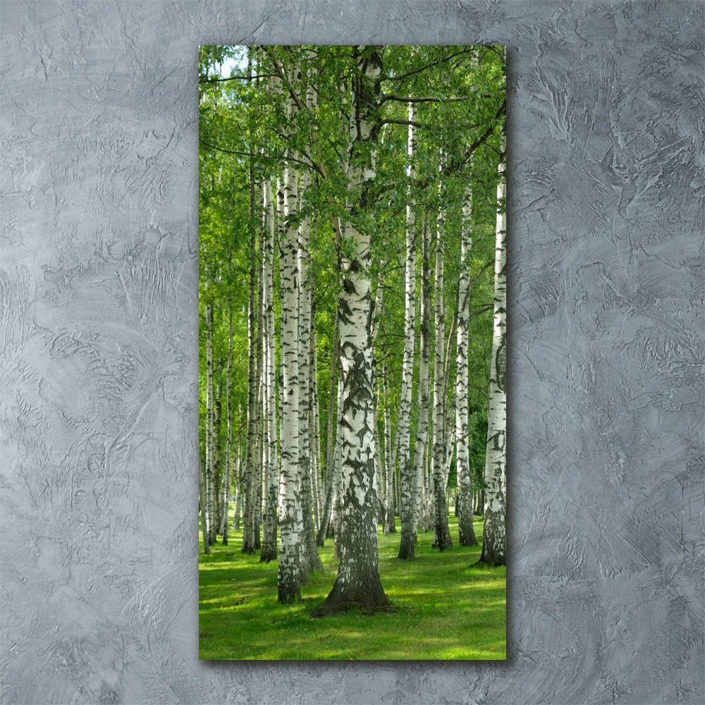 Pictura pe sticlă acrilică pădurea de mesteacăn