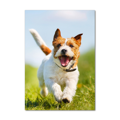 Tablou acrilic câine Jack Russell