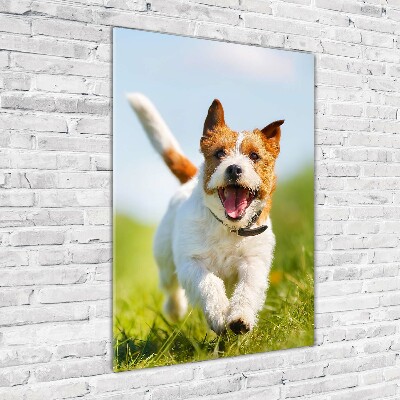 Tablou acrilic câine Jack Russell