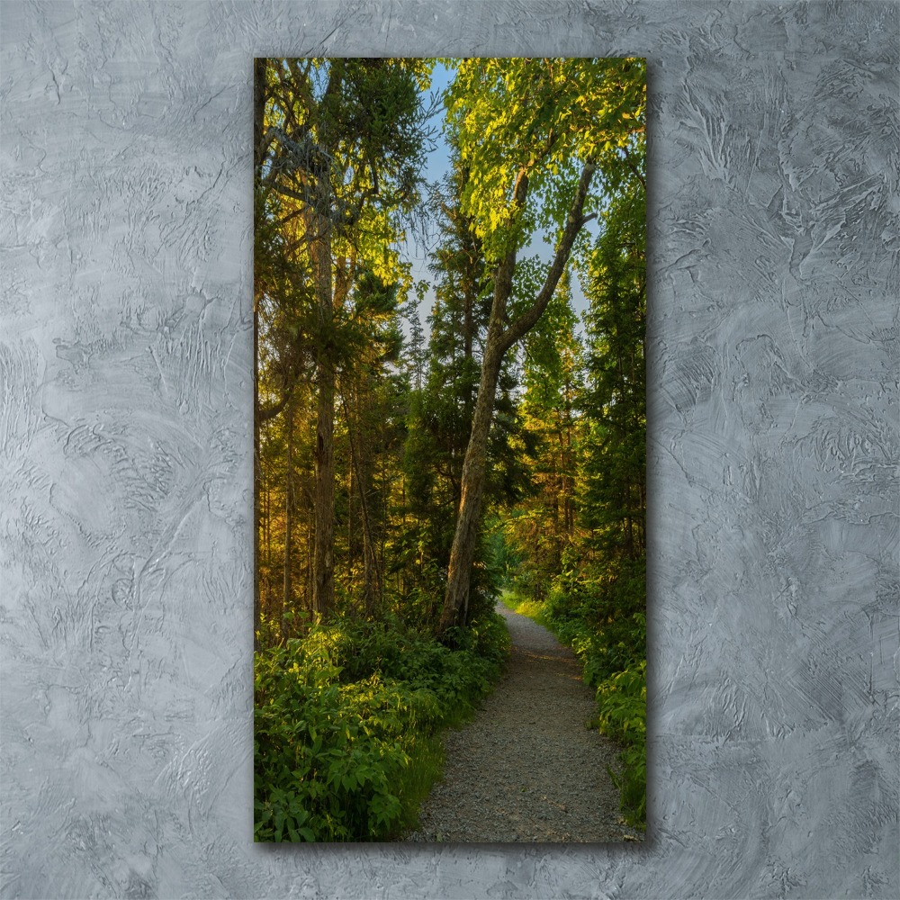 Pictura pe sticlă acrilică Calea în pădure