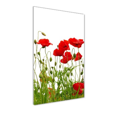 Tablou acrilic wildflowers maci