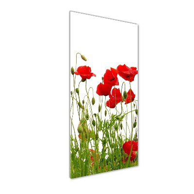 Tablou acrilic wildflowers maci