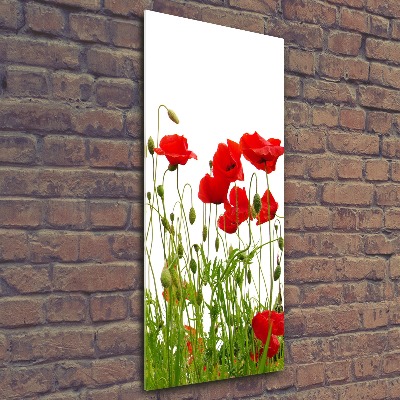 Tablou acrilic wildflowers maci