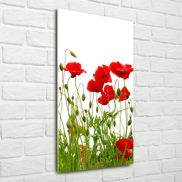 Tablou acrilic wildflowers maci