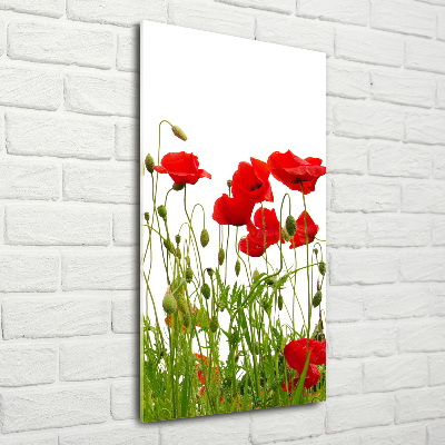Tablou acrilic wildflowers maci