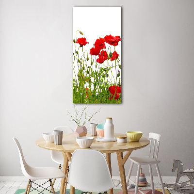 Tablou acrilic wildflowers maci