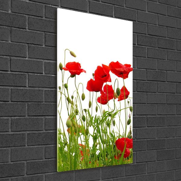 Tablou acrilic wildflowers maci