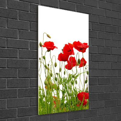 Tablou acrilic wildflowers maci