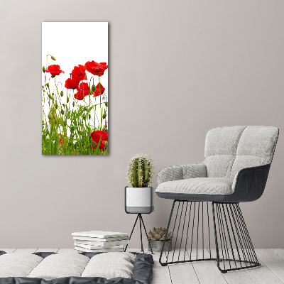 Tablou acrilic wildflowers maci
