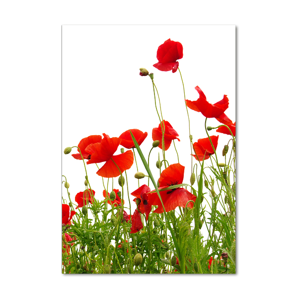 Tablou acrilic wildflowers maci