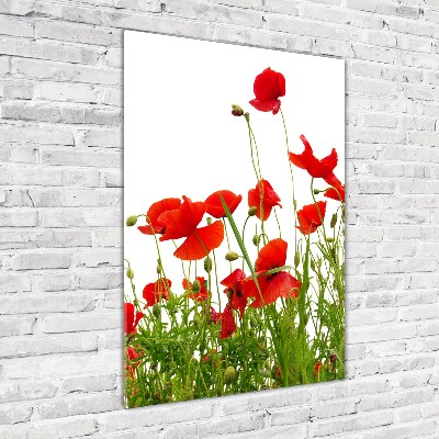 Tablou acrilic wildflowers maci