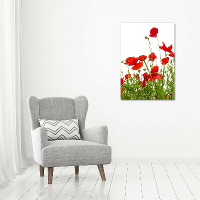 Tablou acrilic wildflowers maci