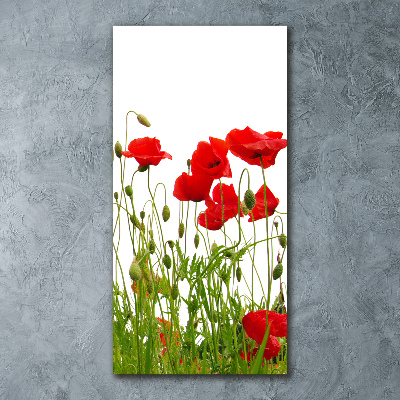 Tablou acrilic wildflowers maci