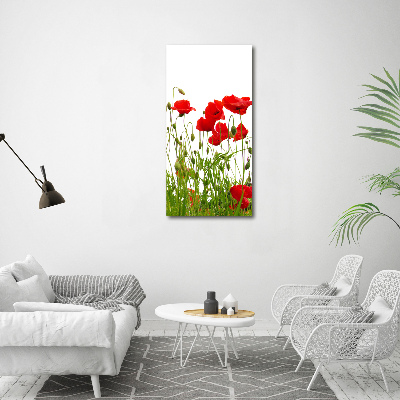 Tablou acrilic wildflowers maci