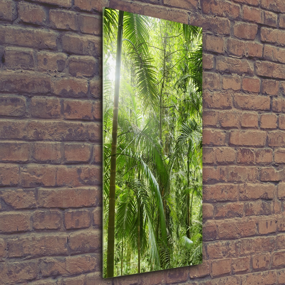 Tablou pe sticlă acrilică pădurea tropicală