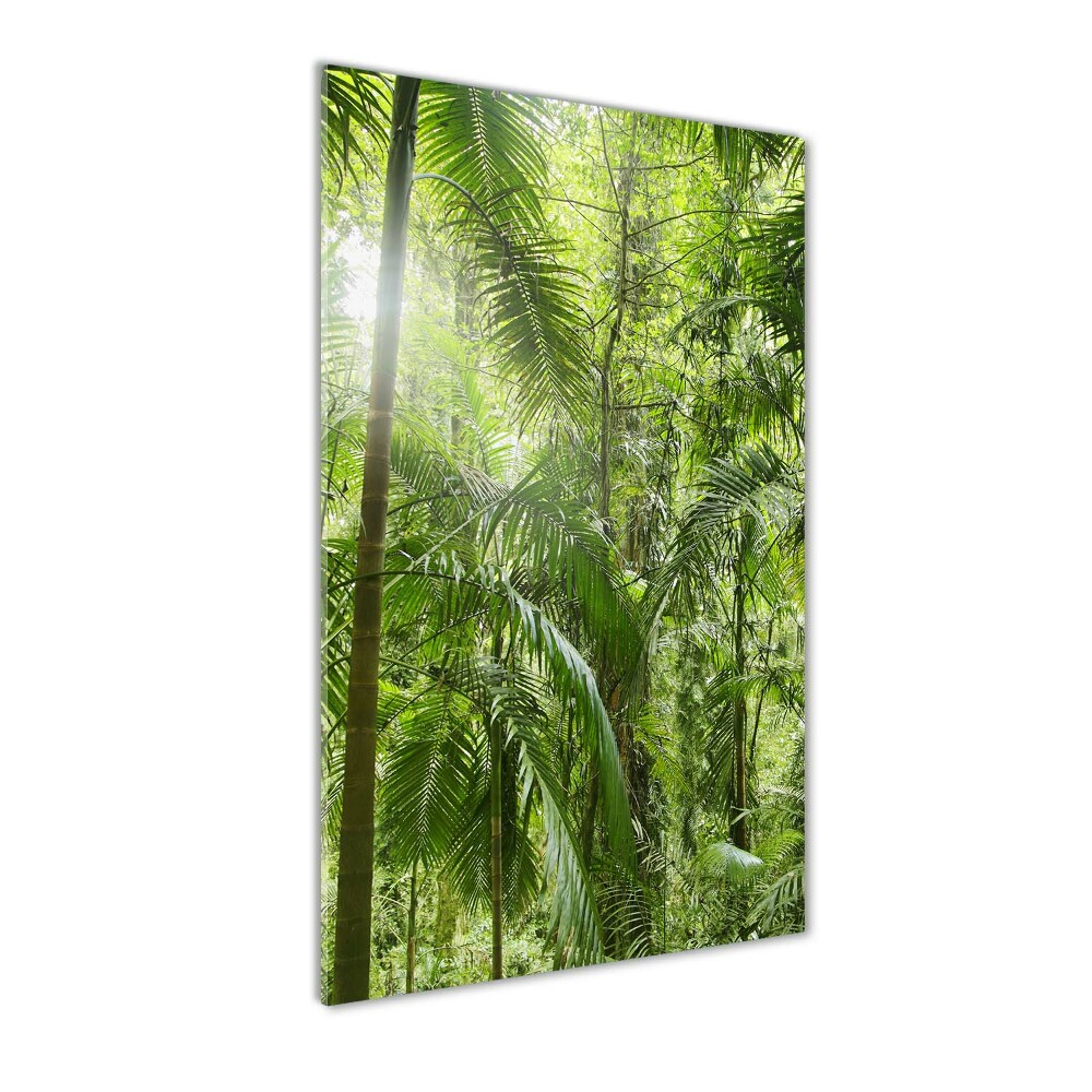 Tablou pe sticlă acrilică pădurea tropicală