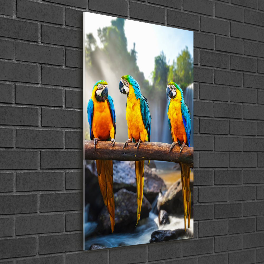 Pictura pe sticlă acrilică papagali Macaws