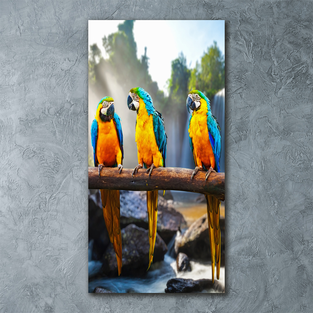 Pictura pe sticlă acrilică papagali Macaws