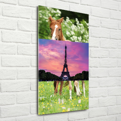 Tablou acrilic Turnul Eiffel din Paris