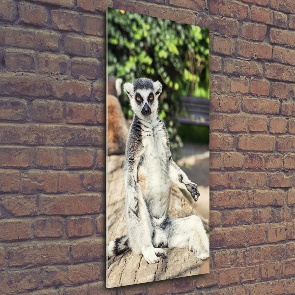 Pictura pe sticlă acrilică Lemur