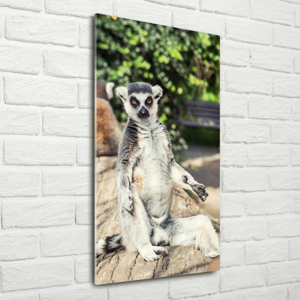 Pictura pe sticlă acrilică Lemur