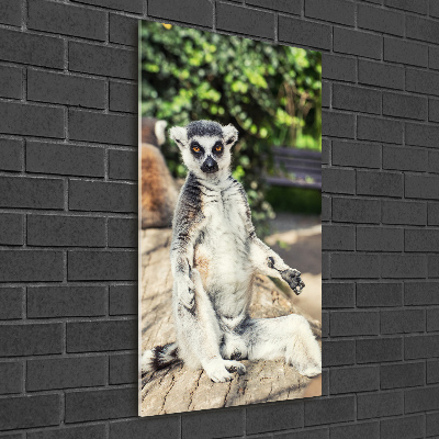 Pictura pe sticlă acrilică Lemur