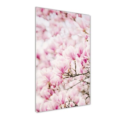 Tablou pe acril flori magnolia