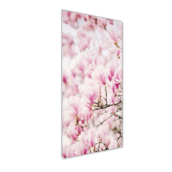 Tablou pe acril flori magnolia