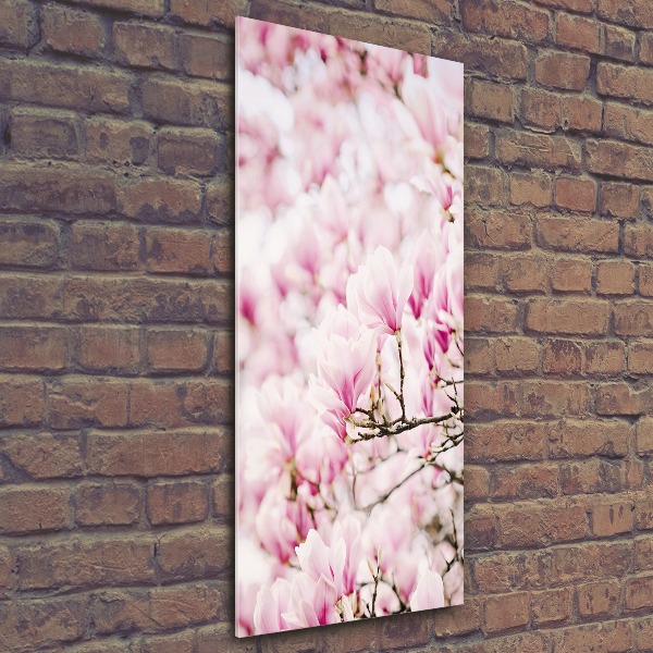Tablou pe acril flori magnolia