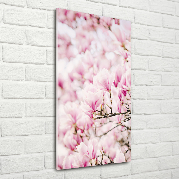 Tablou pe acril flori magnolia