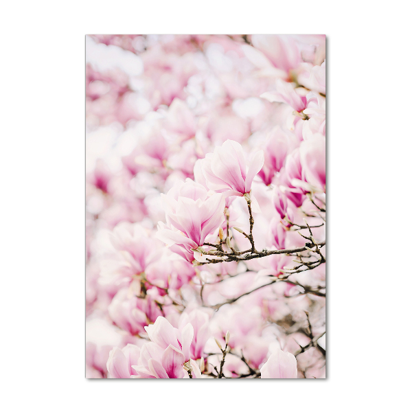 Tablou pe acril flori magnolia