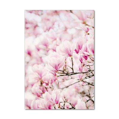 Tablou pe acril flori magnolia