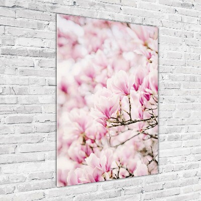 Tablou pe acril flori magnolia