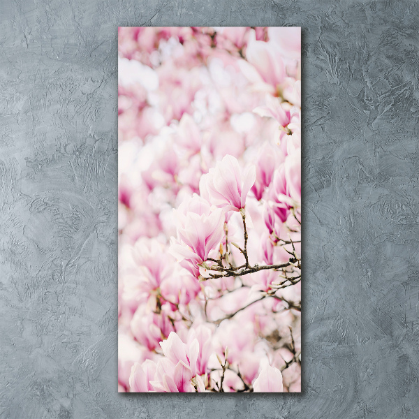 Tablou pe acril flori magnolia
