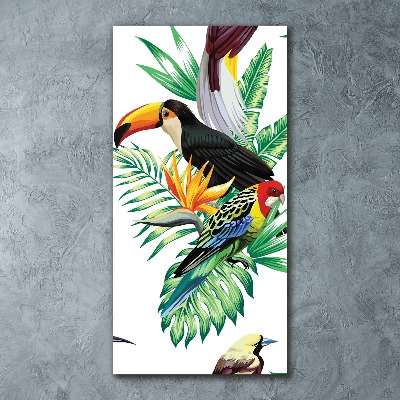 Tablou pe sticlă acrilică păsări tropicale