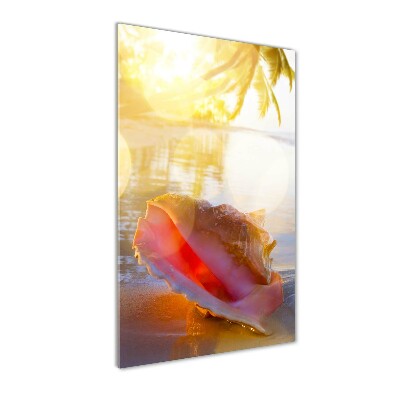 Tablou acrilic Seashell pe plaja