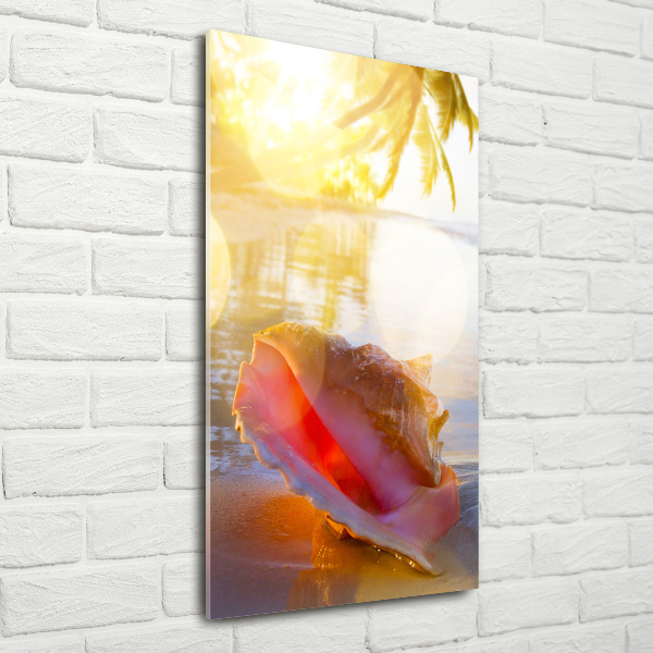 Tablou acrilic Seashell pe plaja