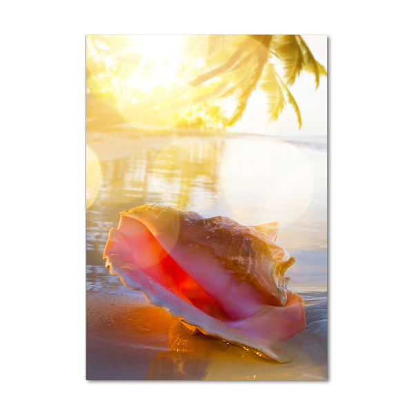 Tablou acrilic Seashell pe plaja
