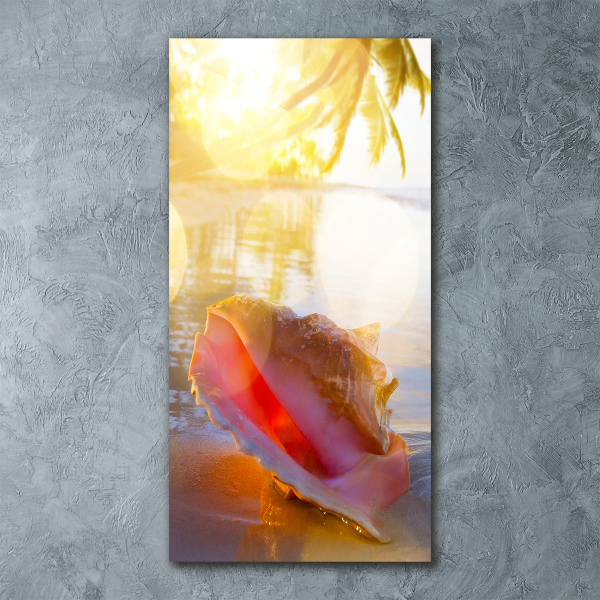 Tablou acrilic Seashell pe plaja