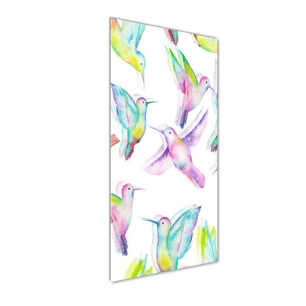 Tablou pe sticlă acrilică colibri colorate