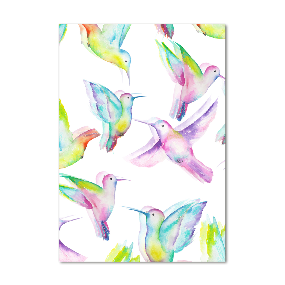 Tablou pe sticlă acrilică colibri colorate