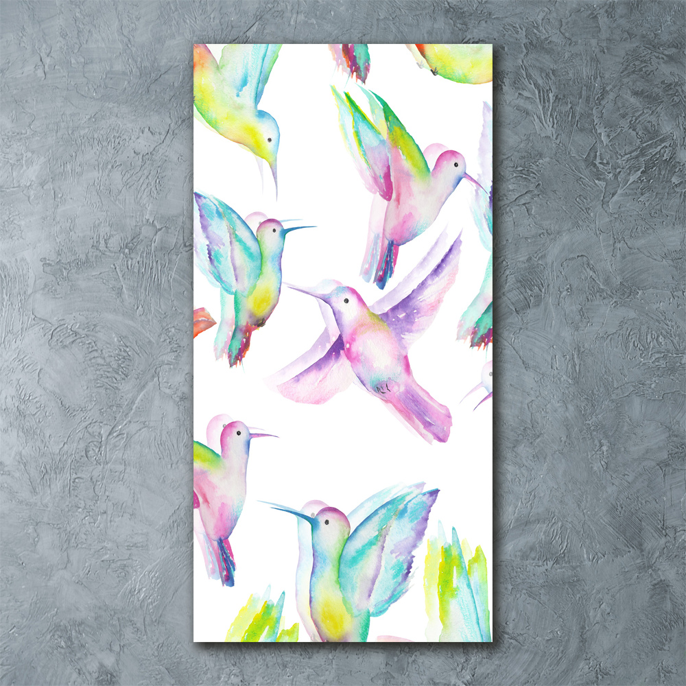Tablou pe sticlă acrilică colibri colorate