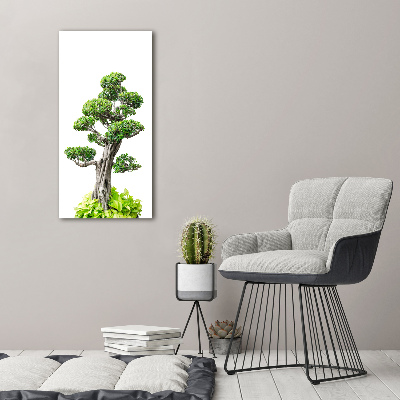 Tablou sticlă acrilică copac bonsai